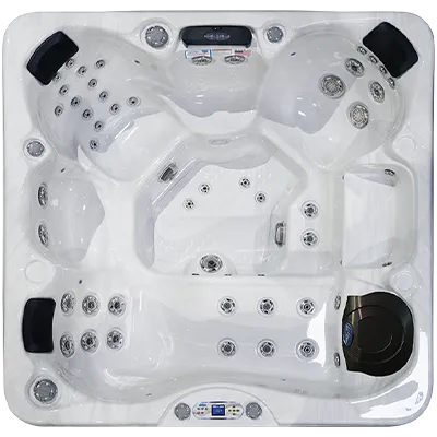 Avalon EC-849L hot tubs for sale in Delray Beach